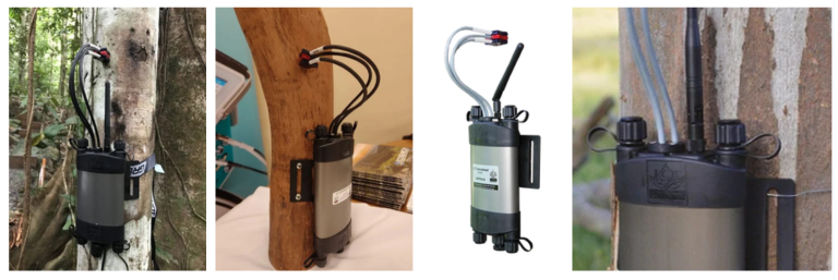 SFM-1 Sap Flow Sensor

